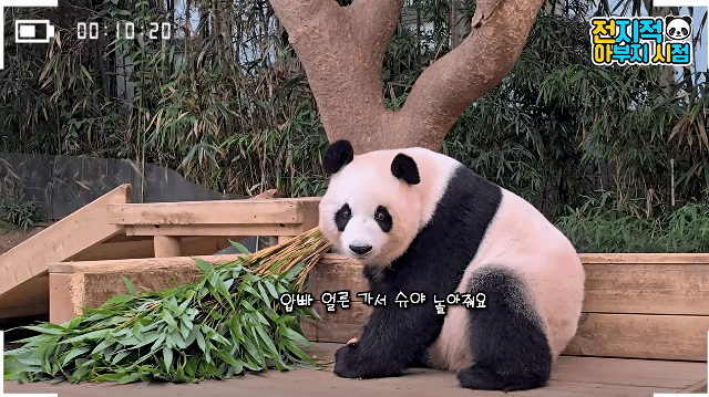 faOTYC