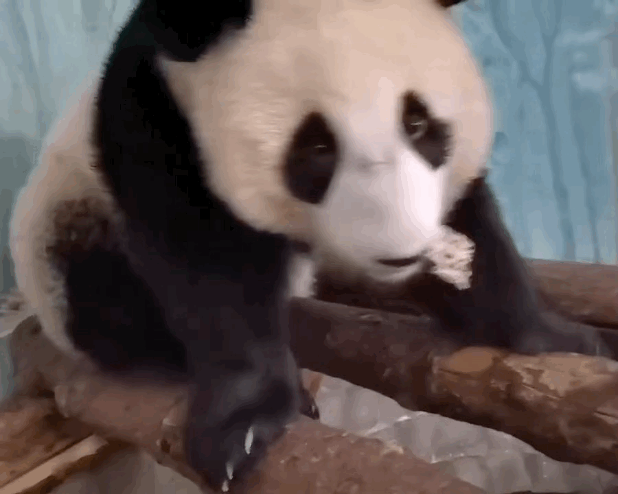 HkUCUk.gif