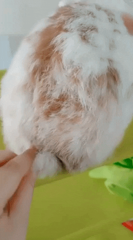 GRClGK.gif