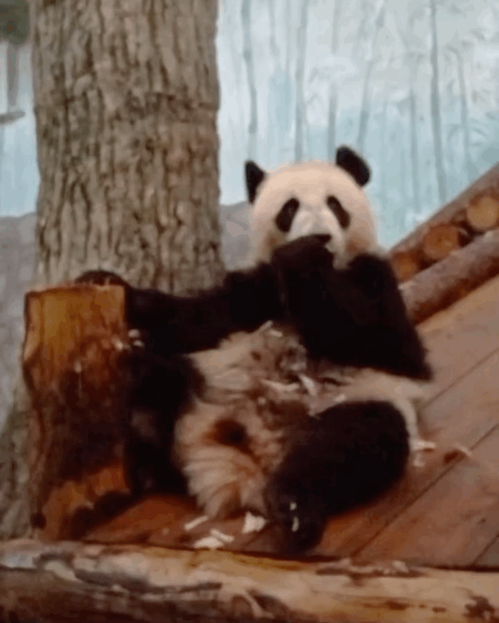 OTKNpg.gif