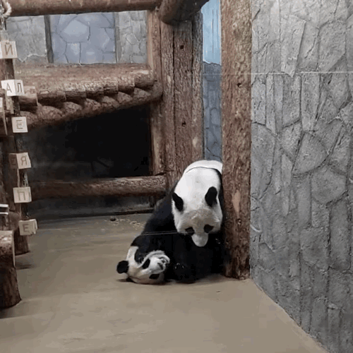 bYgXkA.gif