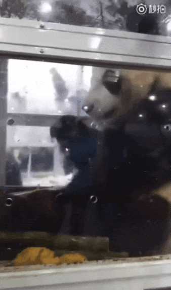 EUWRJx.gif