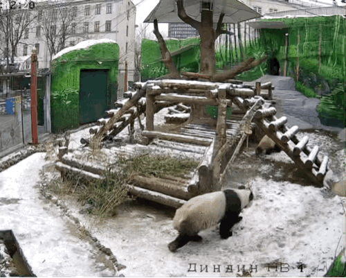 zETzJW.gif