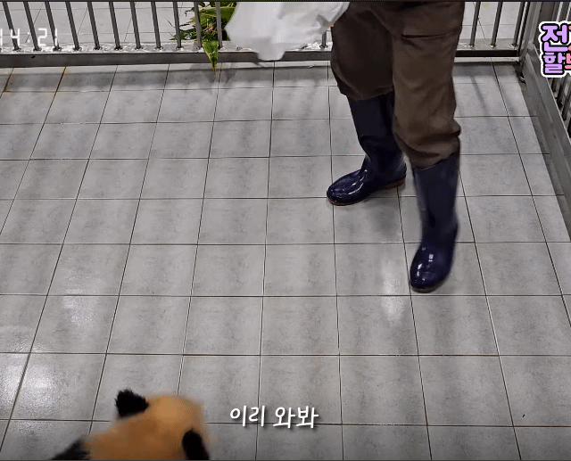 xtwlCM.gif