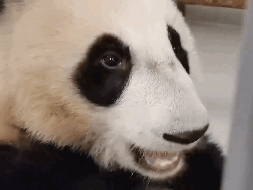 JUEoGf.gif