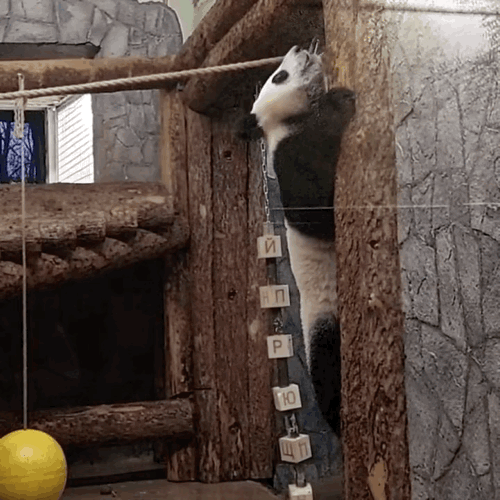 JAnrcL.gif