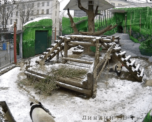 CVGfdv.gif