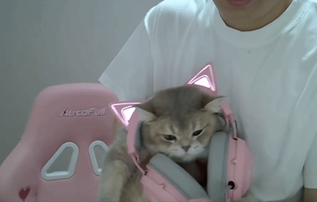 nRgHbn