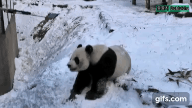 NQCiKS.gif