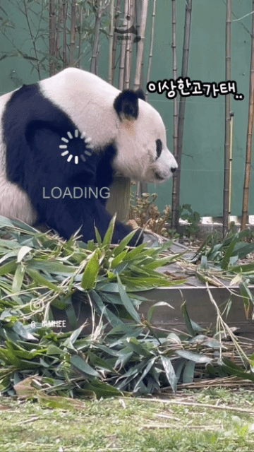vMFXvH
