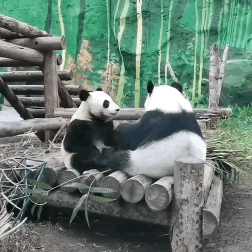 ebqlmk.gif