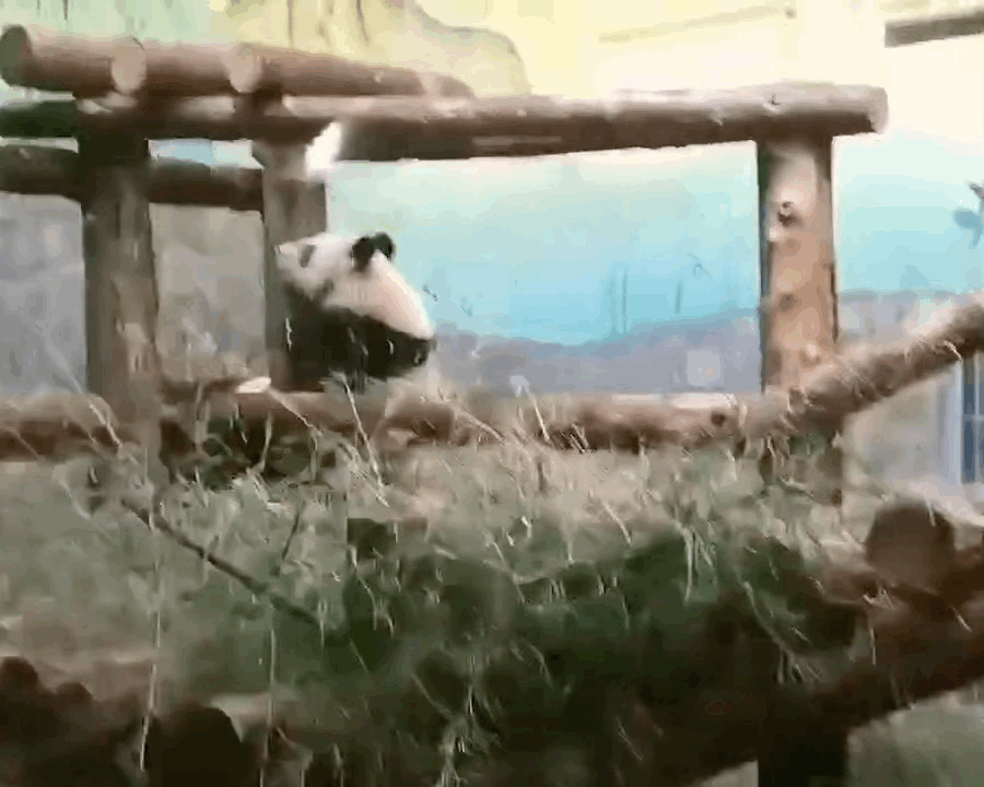 FpHTxz.gif