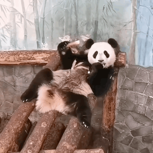 rcyxDx.gif
