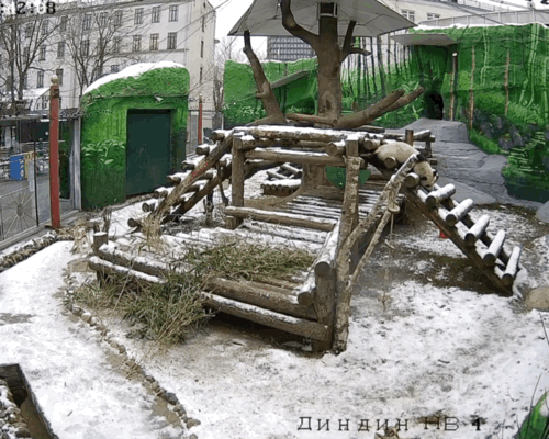 WqFKat.gif