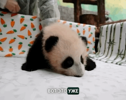 EzTcXF.gif