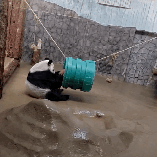 glSZKV.gif