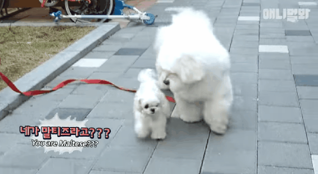 esiHXi.gif
