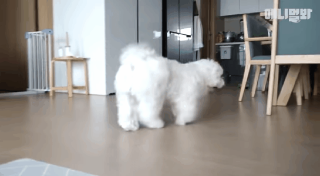SQfTGI.gif