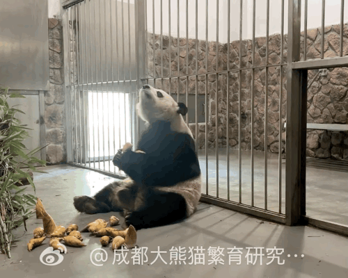 TUOjuN.gif