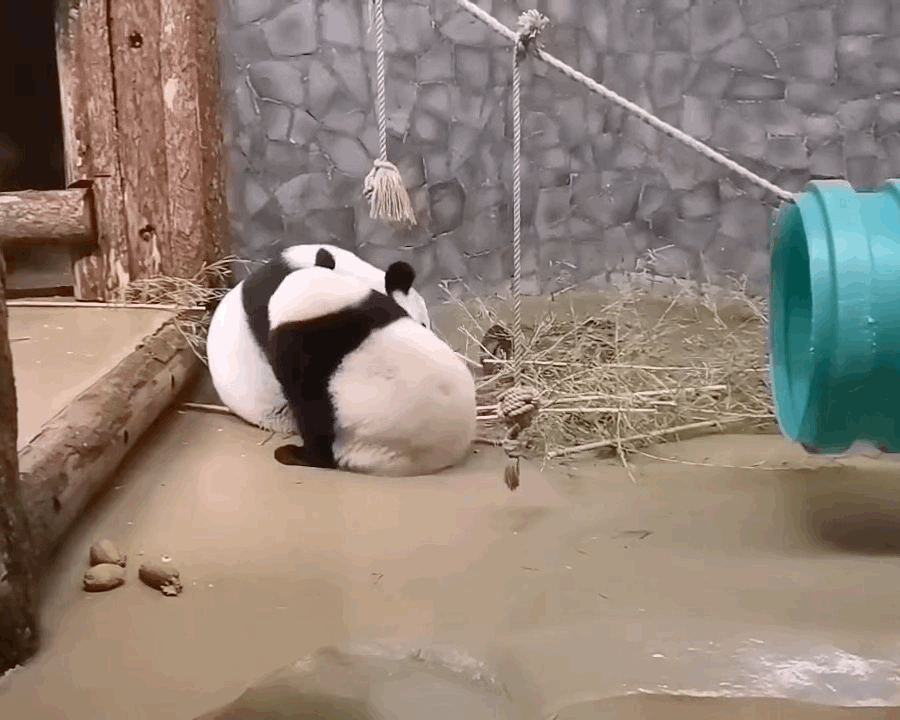 cBDrTD.gif