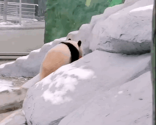 LLBgyK.gif