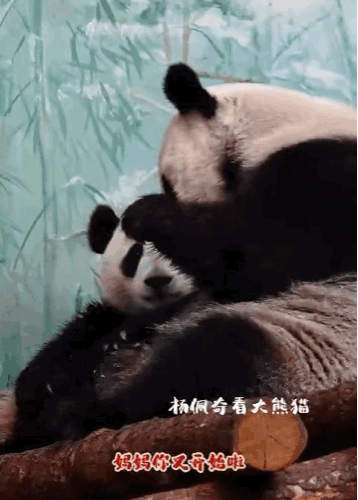 HlJzbl.gif