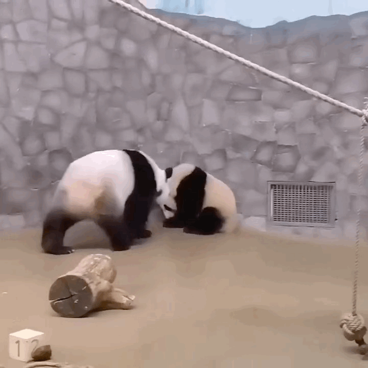 KTHkbP.gif