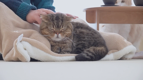 xTmYsu.gif