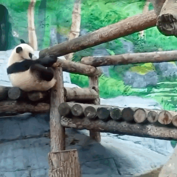 GapXrb.gif