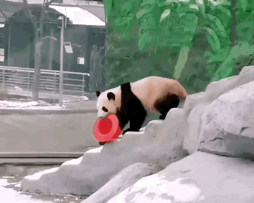 cALKje.gif