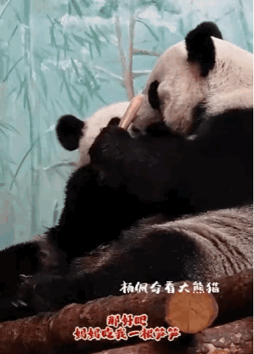 VaQjNy.gif