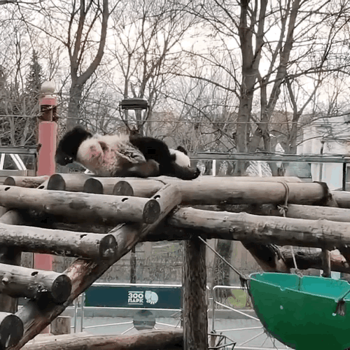 BawVZY.gif