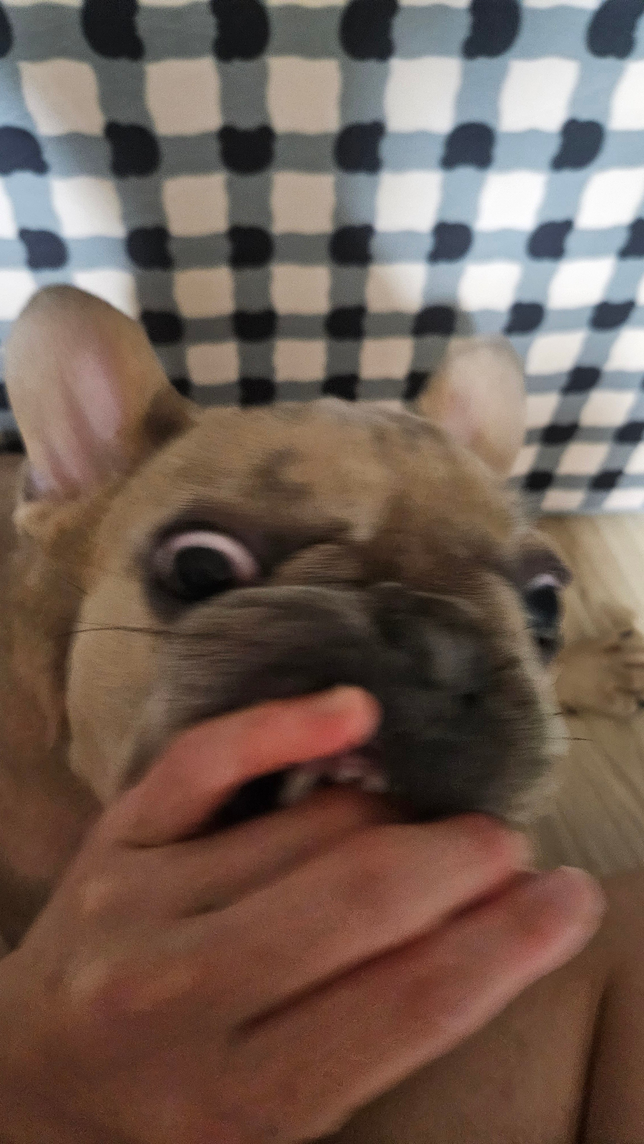 wDYuPf.jpg