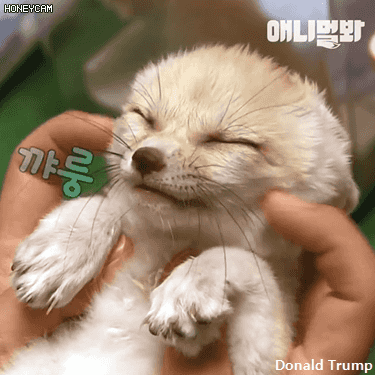 kLJeMW.gif