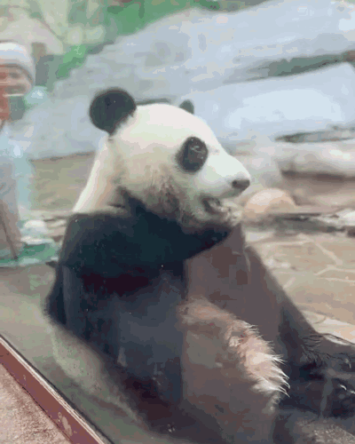 TbquaL.gif