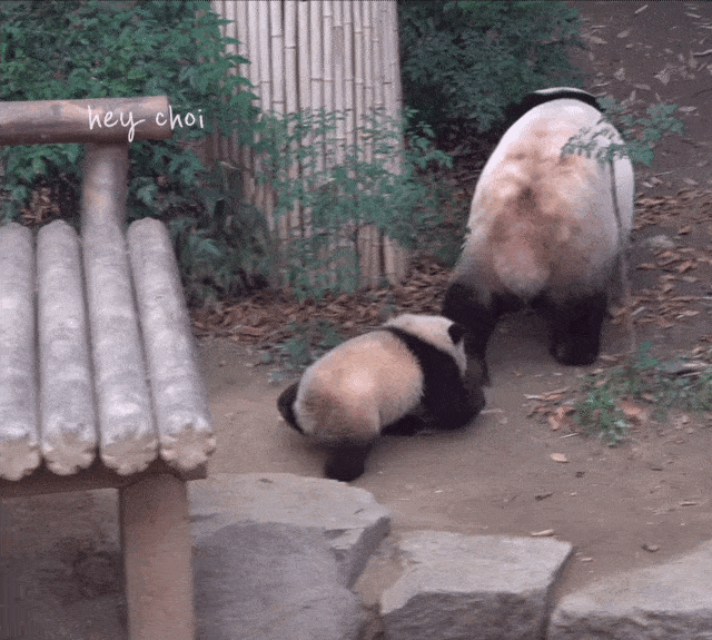 ePMmXx.gif
