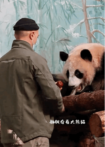 JrksZb.gif