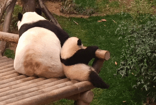 KjdWWa.gif
