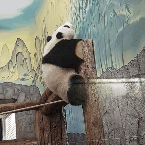 hQOkcu.gif