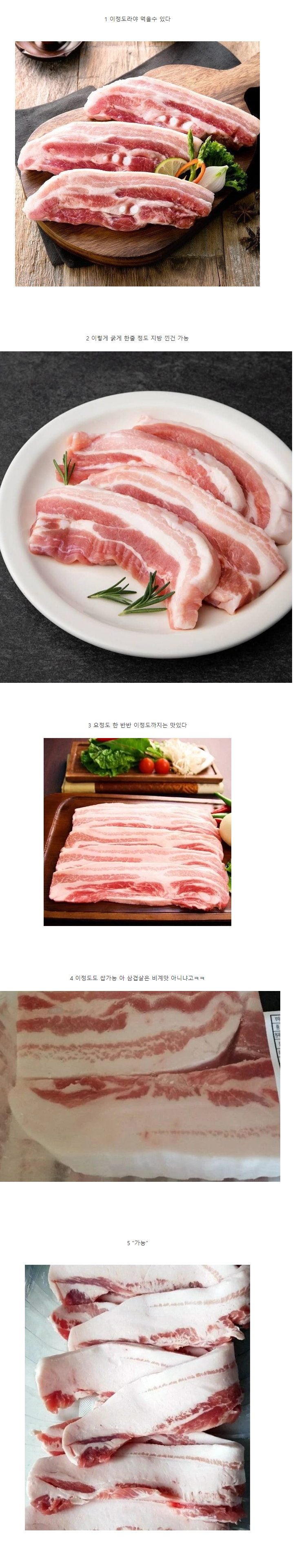 RRpbTa