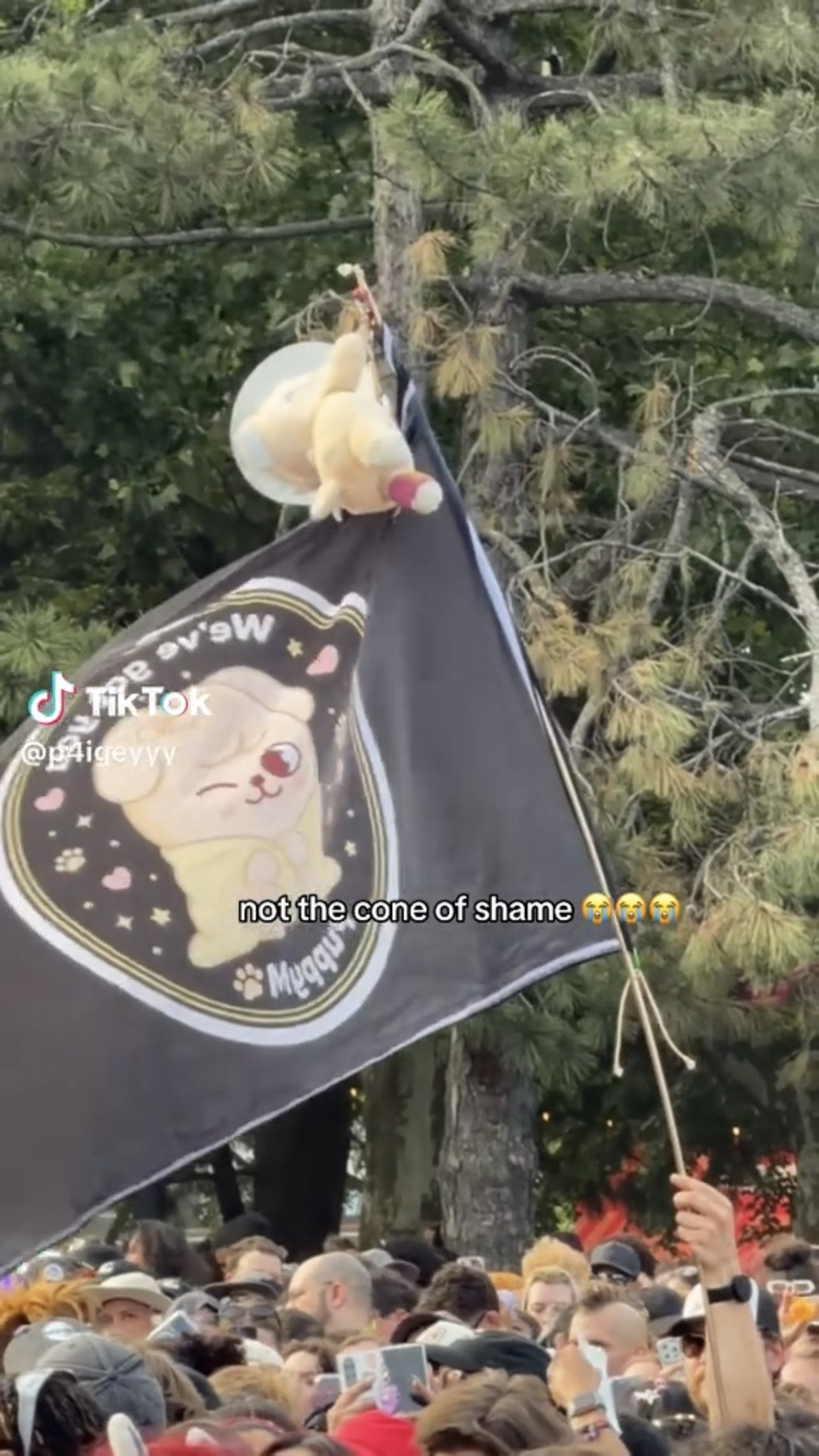 Srdapw