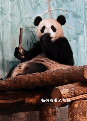 ipezmV.gif