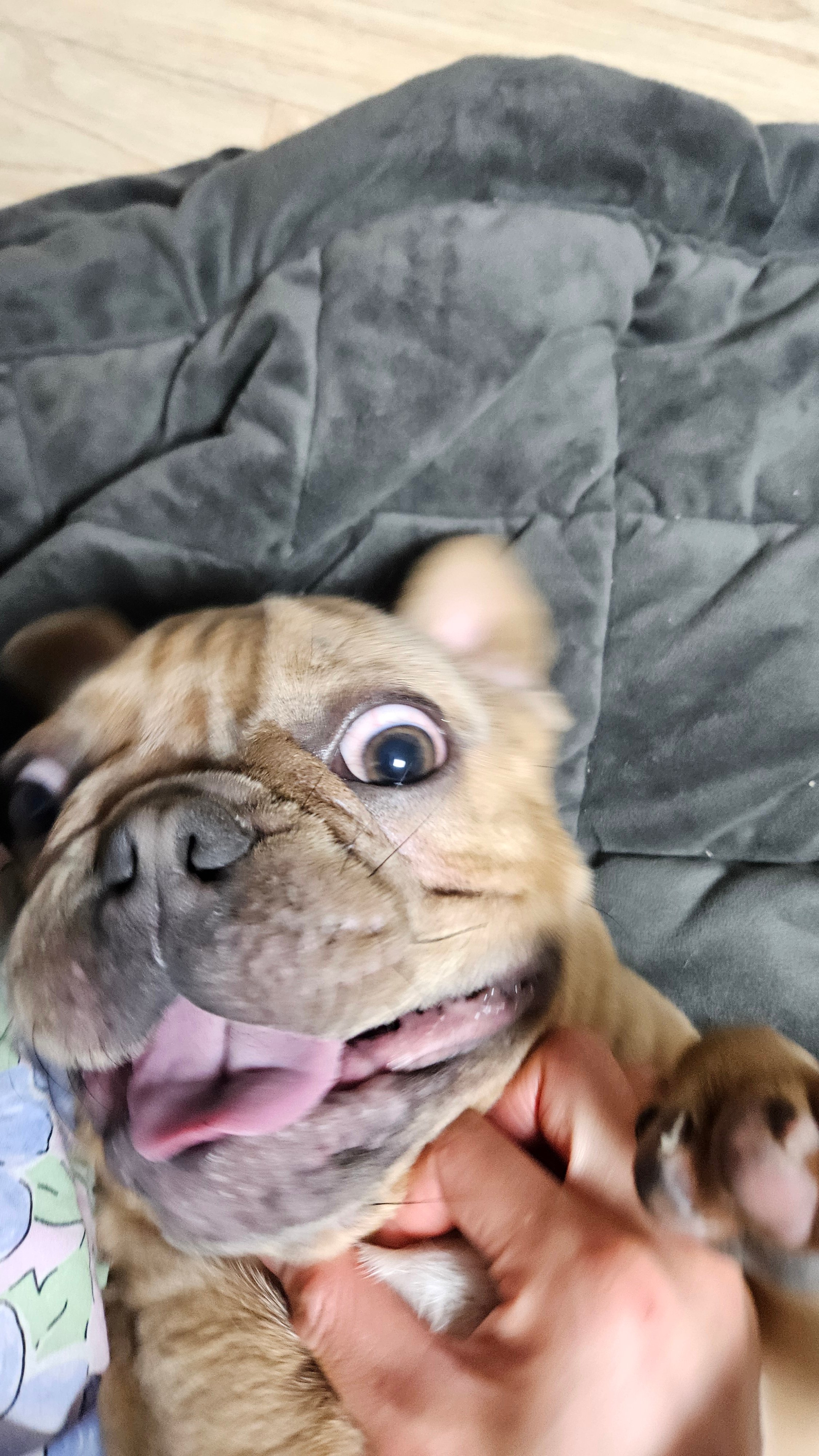 WBJGPb.jpg