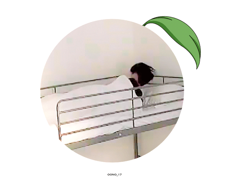 zefaFu