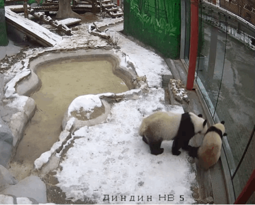 TcSmTI.gif