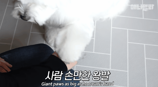 lvhiHE.gif