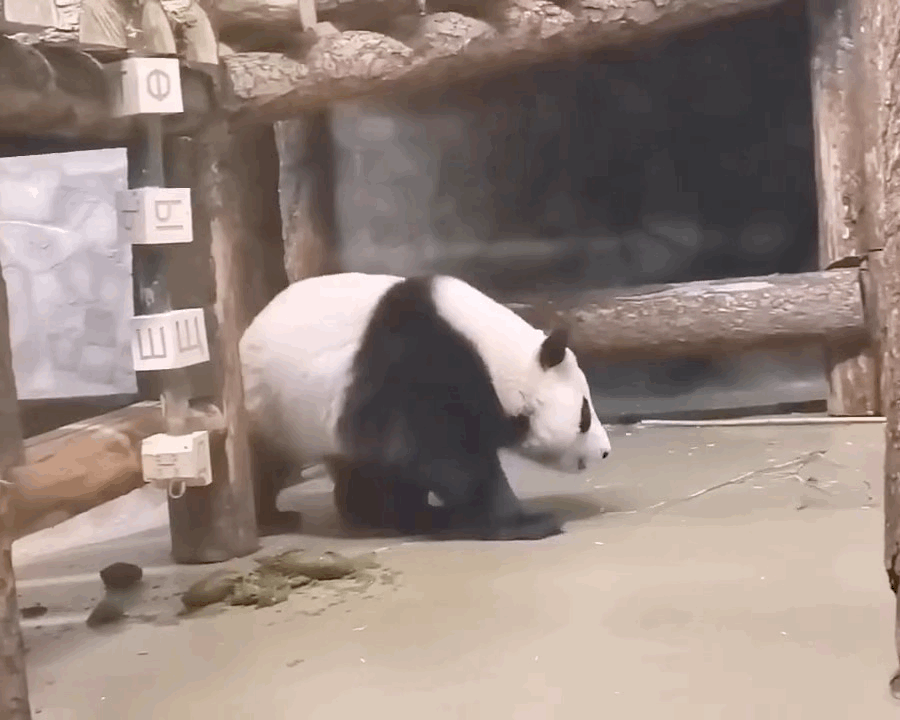 EDfsTv.gif