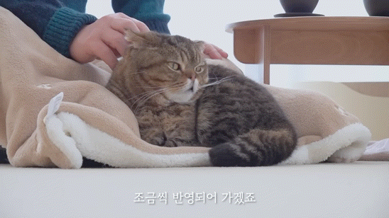 jhwvNf.gif