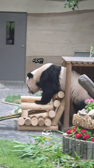 KSZDxn