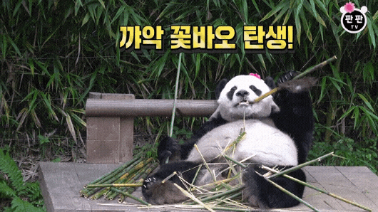 aLmHUA.gif